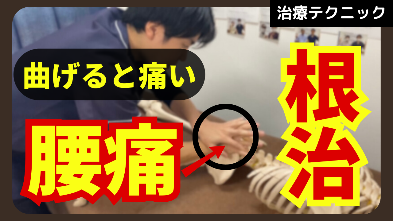 腰を曲げると痛い人はここを狙うべき！大臀筋の筋膜治療テクニックをご紹介！！